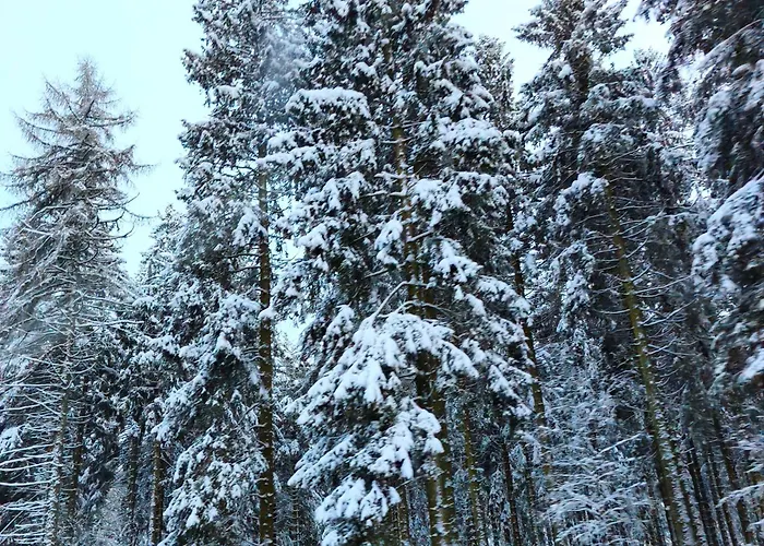 Lejlighed Gaestewohnung Urfttalsperre Schleiden